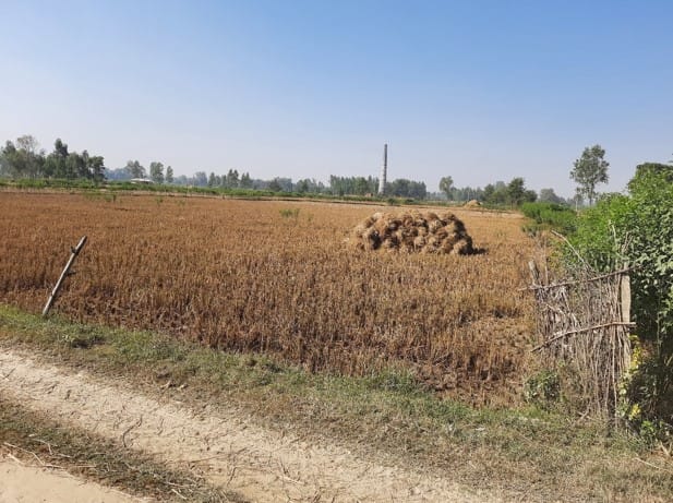 Land at BHANGAHA MUNICIPALITY, MAHOTARI (PA-00000000000000006748) - Image 2