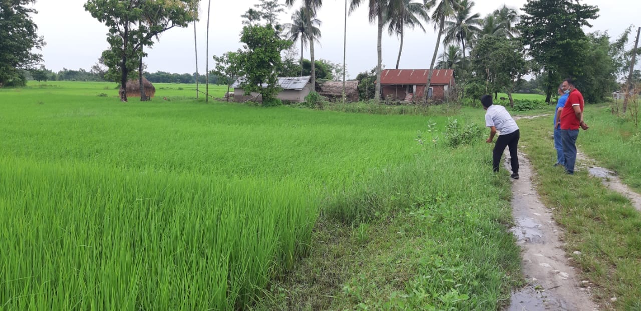 Land at KAMAL RURAL MUNICIPALITY, JHAPA (PA-00000000000000000484)