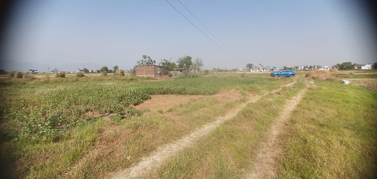 Land at SUDHDHODHAN RURAL MUNICIPALITY, RUPANDEHI (PA-00000000000000006064)