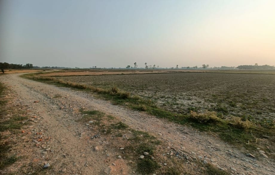 Land at BRINDABAN MUNICIPALITY, RAUTAHAT (PA-00000000000000000348) - Image 3