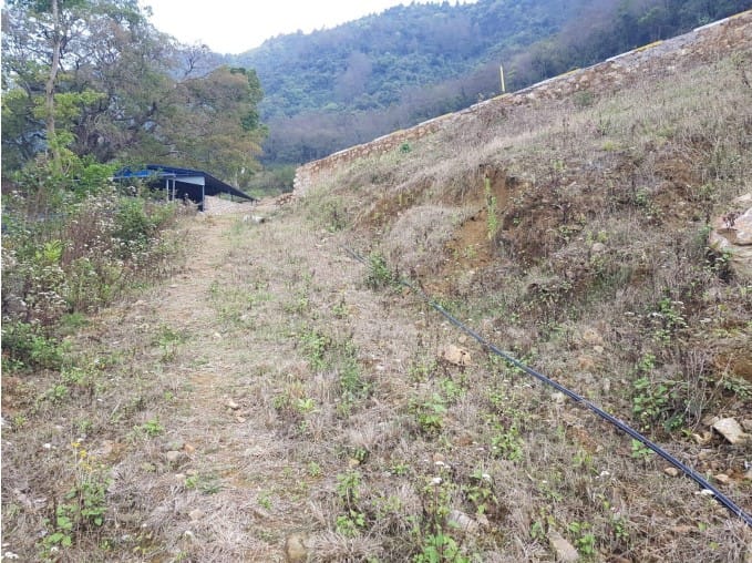 Land at MAHALAXMI MUNICIPALITY, LALITPUR (PA-00000000000000000576)