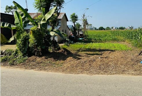Land at RATNANAGAR MUNICIPALITY, CHITAWAN (PA-00000000000000006016)