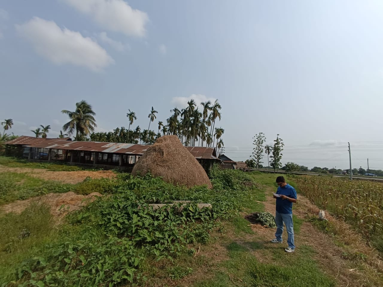 Land at BIRTAMOD MUNICIPALITY, JHAPA (PA-00000000000000004083)