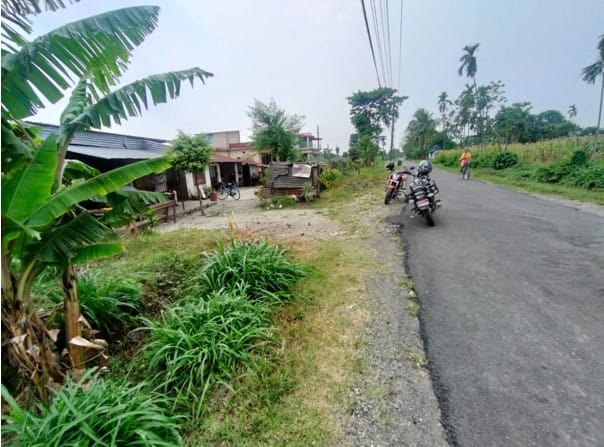 Land at BHADRAPUR MUNICIPALITY, JHAPA (PA-00000000000000001384) - Image 3