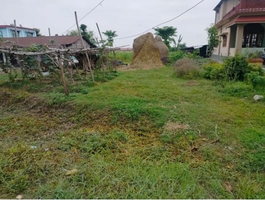 Land at BHADRAPUR MUNICIPALITY, JHAPA (PA-00000000000000001384) - Image 2