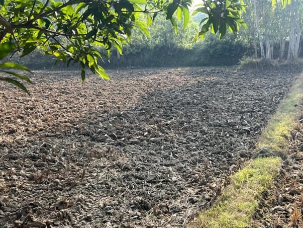 Land at RAMGOPALPUR MUNICIPALITY, MAHOTARI (PA-00000000000000006887)