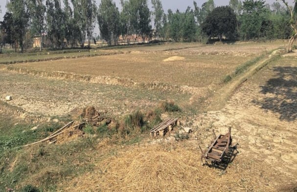 Land at RAMGOPALPUR MUNICIPALITY, MAHOTARI (PA-00000000000000006887) - Image 3