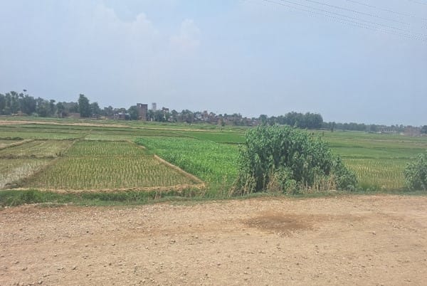 Land at PALHI NANDAN RURAL MUNICIPALITY, NAWALPARASI WEST (PA-00000000000000005845)