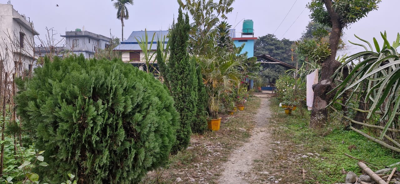 Land at SUNDARHARAICHA MUNICIPALITY, MORANG (PA-00000000000000002425)