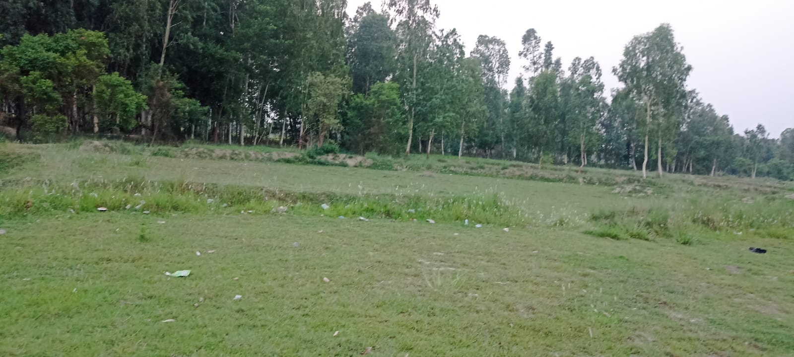 Land at JANAKPURDHAM SUB-METROPOLITIAN CITY, DHANUSHA