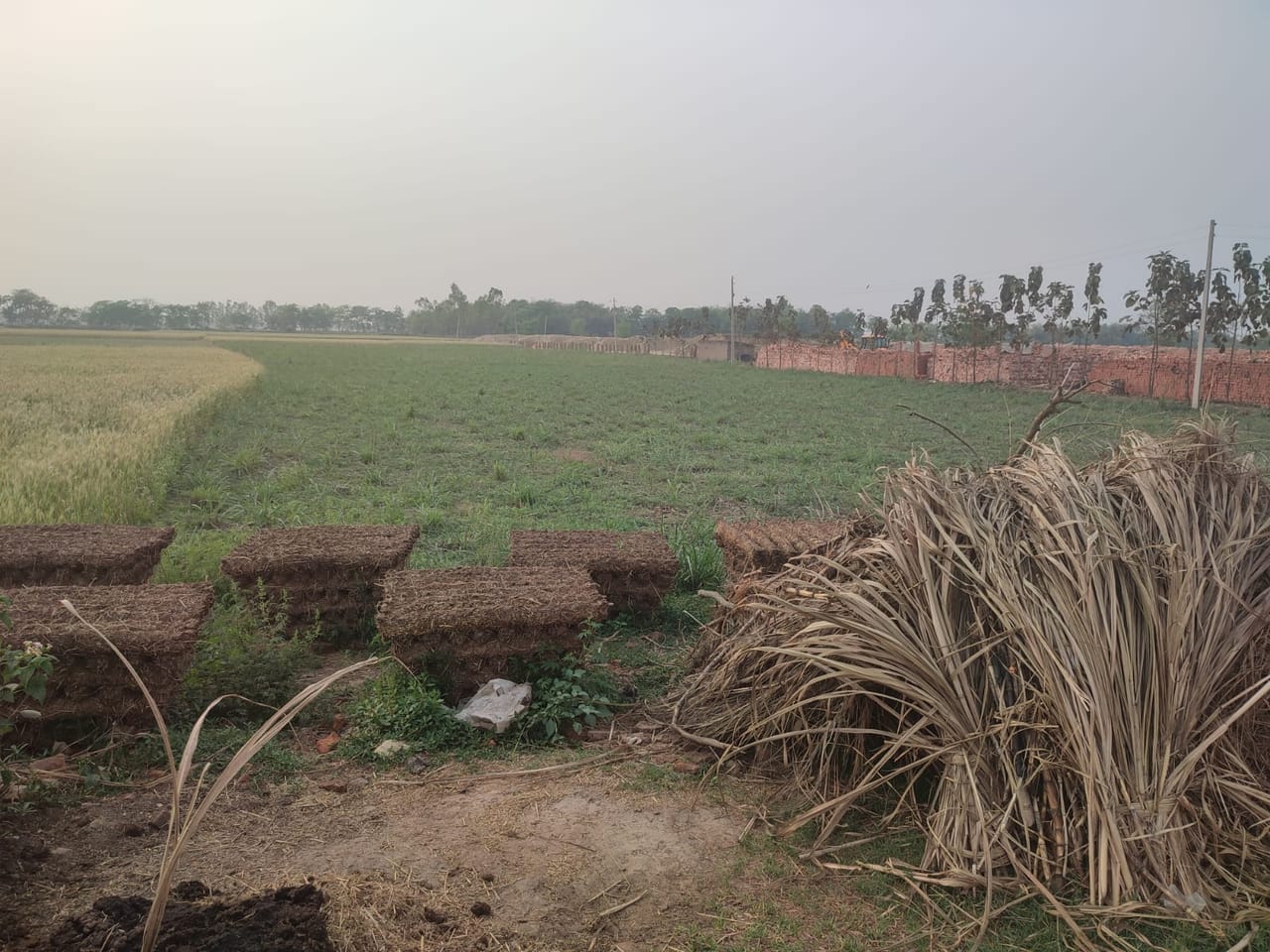 Land at PHETA RURAL MUNICIPALITY, BARA (PA-00000000000000000252) - Image 4