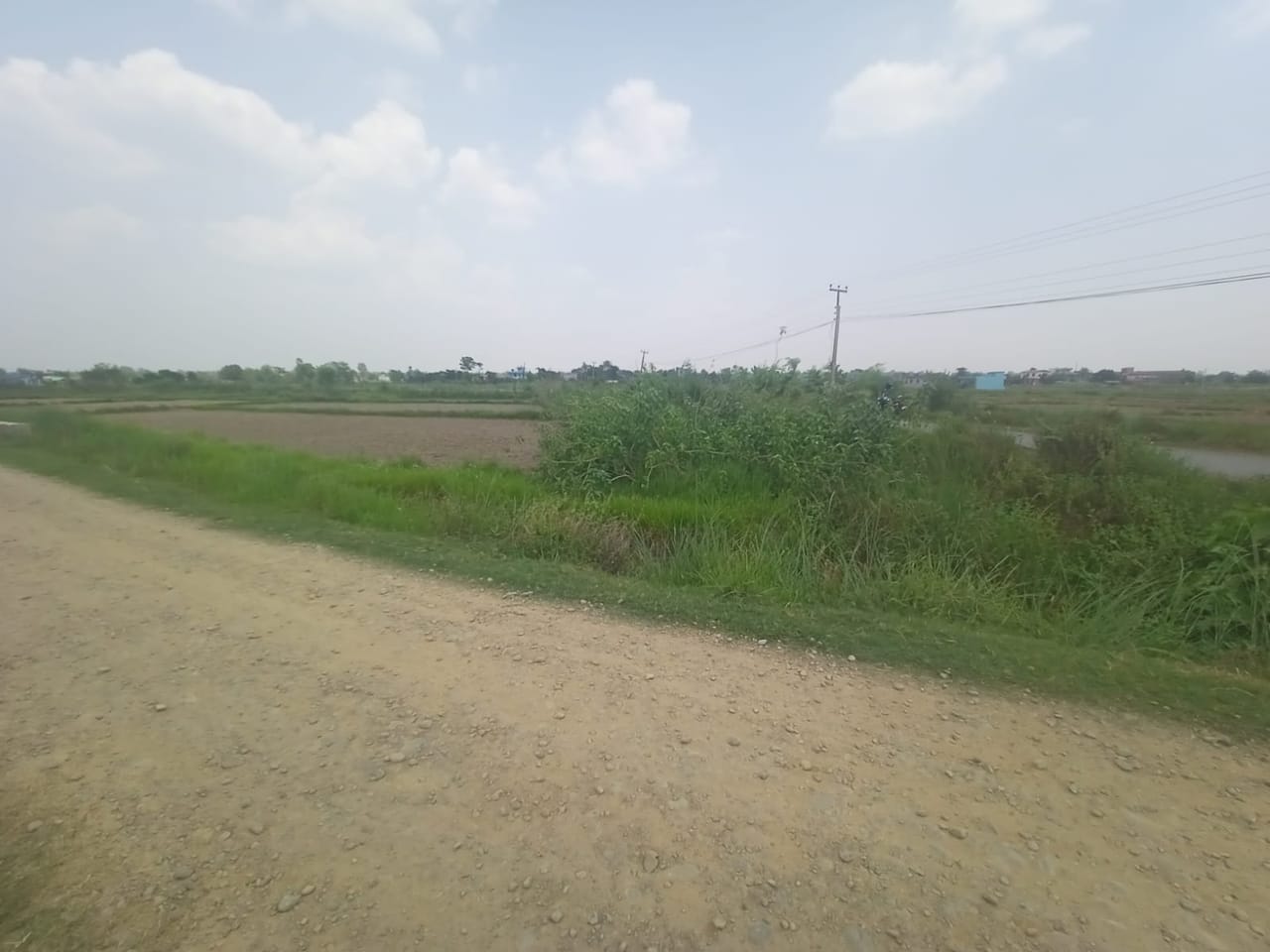 Land at BANGANGA MUNICIPALITY, KAPILBASTU (PA-00000000000000006869) - Image 4