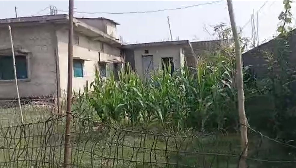 Land and Building at MAHARAJGUNJ MUNICIPALITY, KAPILBASTU (PA-00000000000000006669)