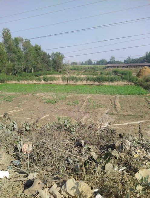 Land at AURAHI MUNICIPALITY, MAHOTARI (PA-00000000000000005888)