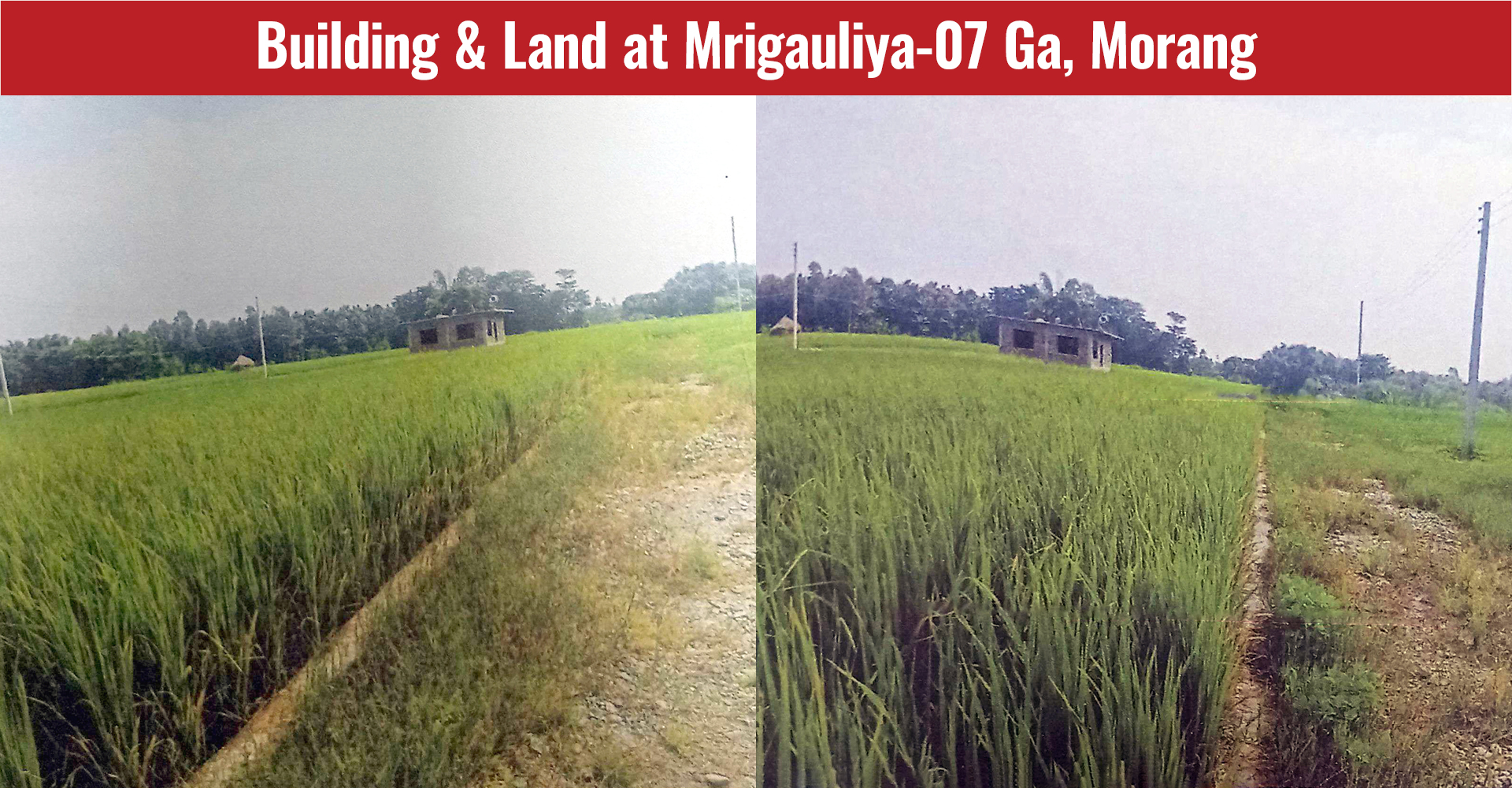 Building & Land at Mrigauliya-07 Ga, Morang