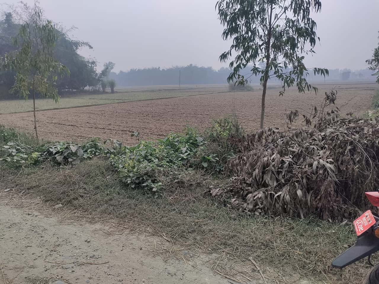 Land at MADHAV NARAYAN MUNICIPALITY, RAUTAHAT (PA-00000000000000001346) - Image 4