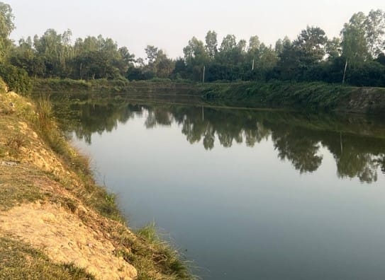 Land at MAHOTTARI RURAL MUNICIPALITY, MAHOTARI (PA-00000000000000006892)