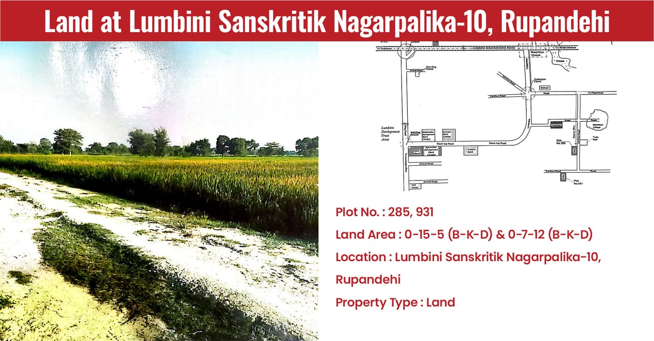 Land at Lumbini Sanskritik Nagarpalika-10, Rupandehi