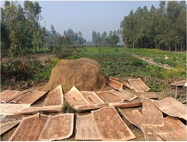 Land at MALANGAWA MUNICIPALITY, SARLAHI (PA-00000000000000001680)