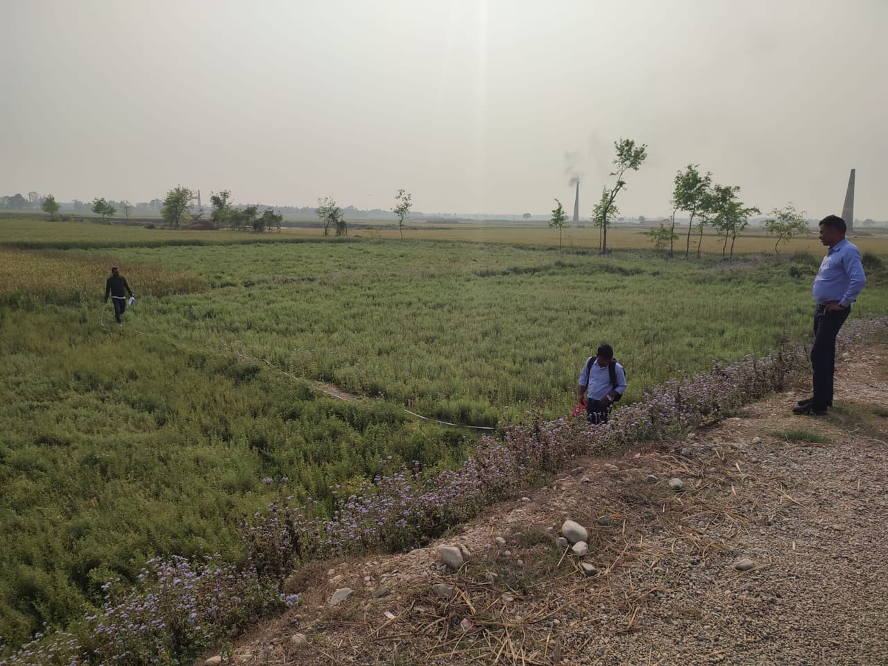 Land at PHETA RURAL MUNICIPALITY, BARA (PA-00000000000000000255) - Image 2