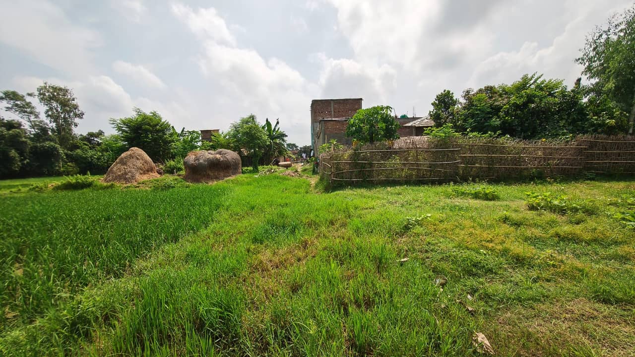Land at BRAMHAPURI RURAL MUNICIPALITY, SARLAHI (PA-00000000000000006758) - Image 4