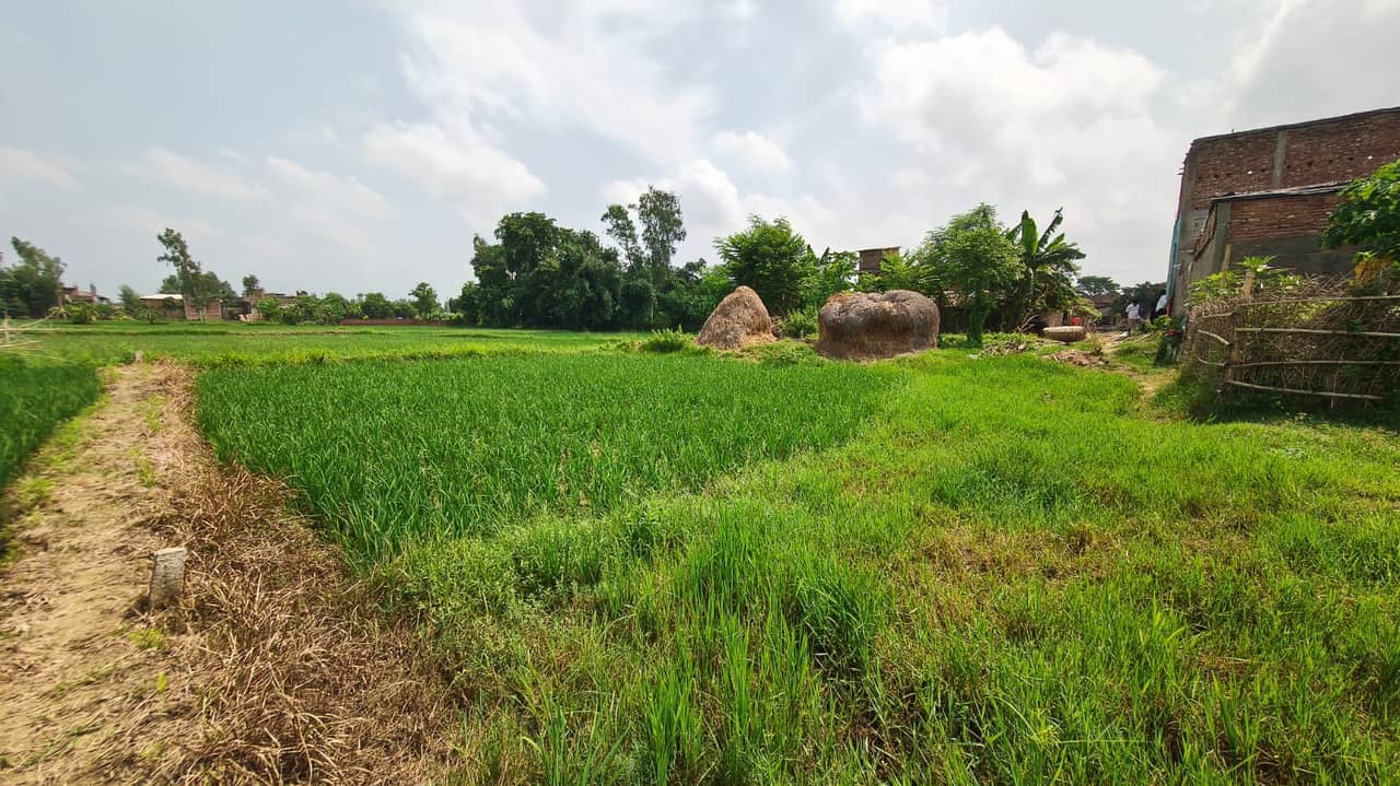 Land at BRAMHAPURI RURAL MUNICIPALITY, SARLAHI (PA-00000000000000006758) - Image 3
