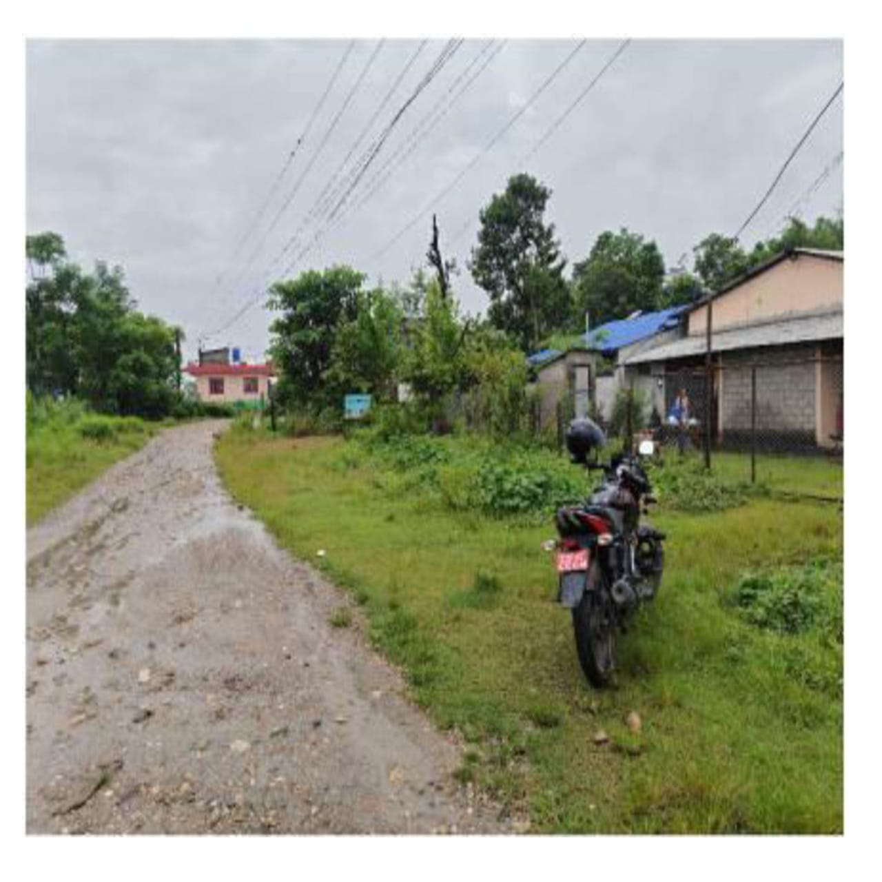 Nawalparasi District, Kawasoti Municipality Ward No. 5 - Image 2