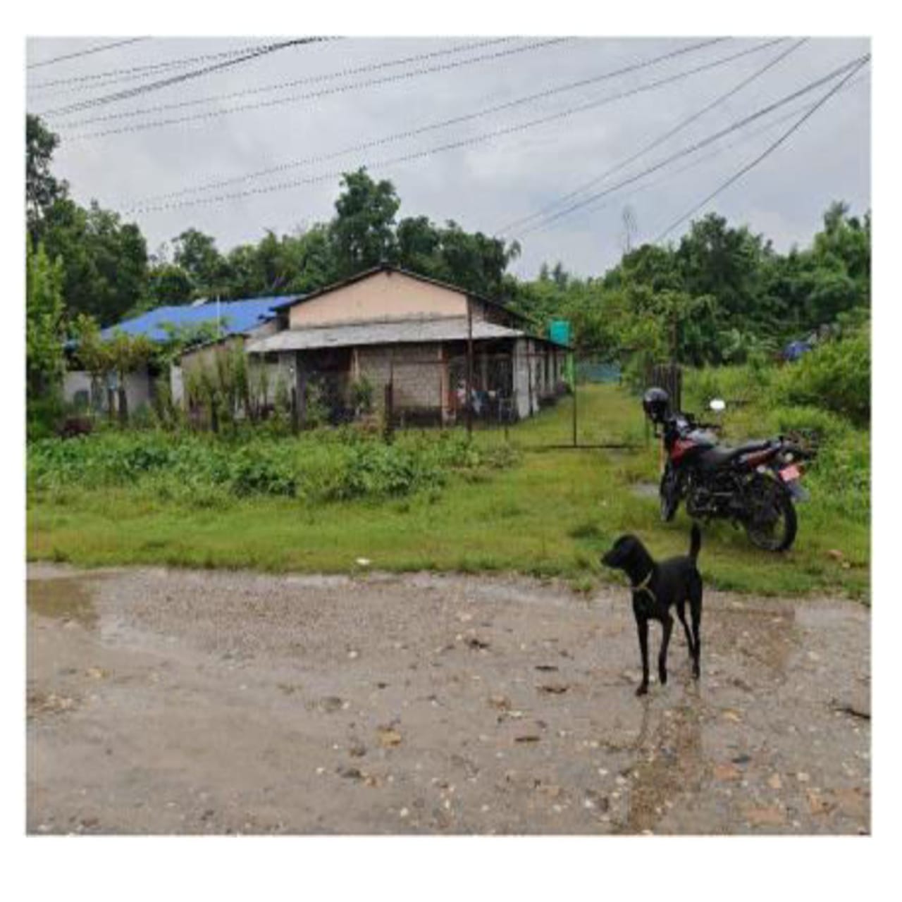 Nawalparasi District, Kawasoti Municipality Ward No. 5 - Image 1