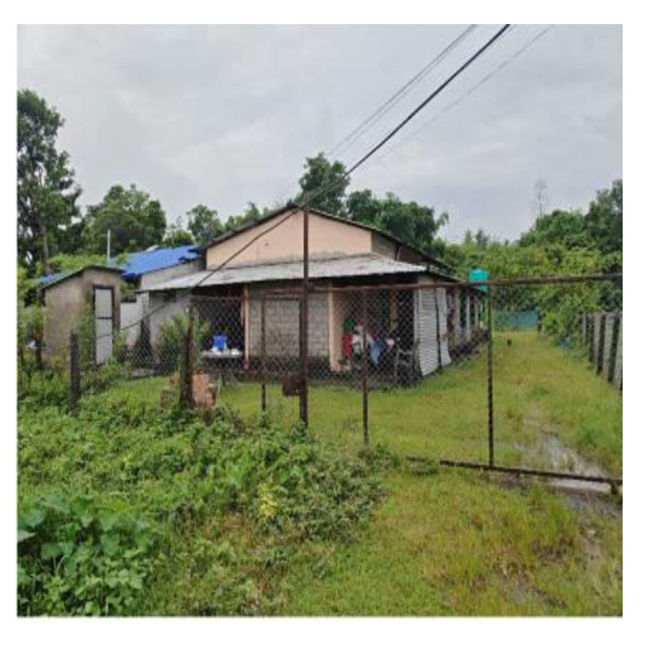 Nawalparasi District, Kawasoti Municipality Ward No. 5 - Image 3