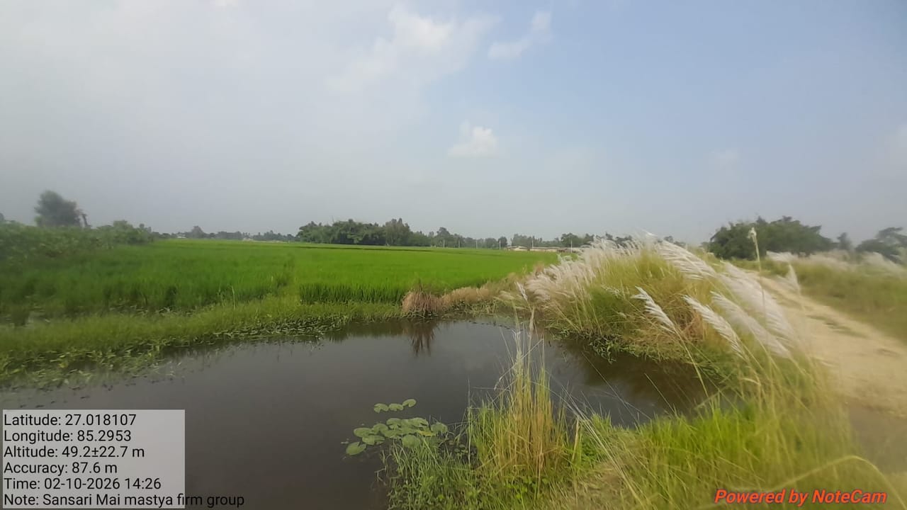 Land at BRINDABAN MUNICIPALITY, RAUTAHAT (PA-00000000000000006900) - Image 3