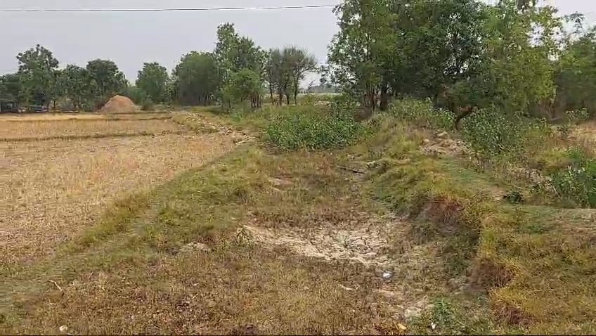 Land at GAIDAHAWA RURAL MUNICIPALITY, RUPANDEHI (PA-00000000000000005733)