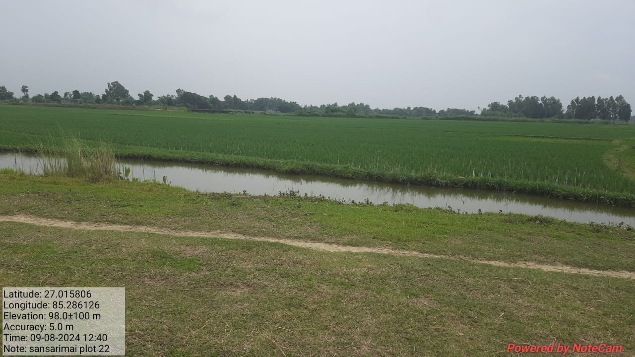 Land at GUJARA MUNICIPALITY, RAUTAHAT (PA-00000000000000006901) - Image 3
