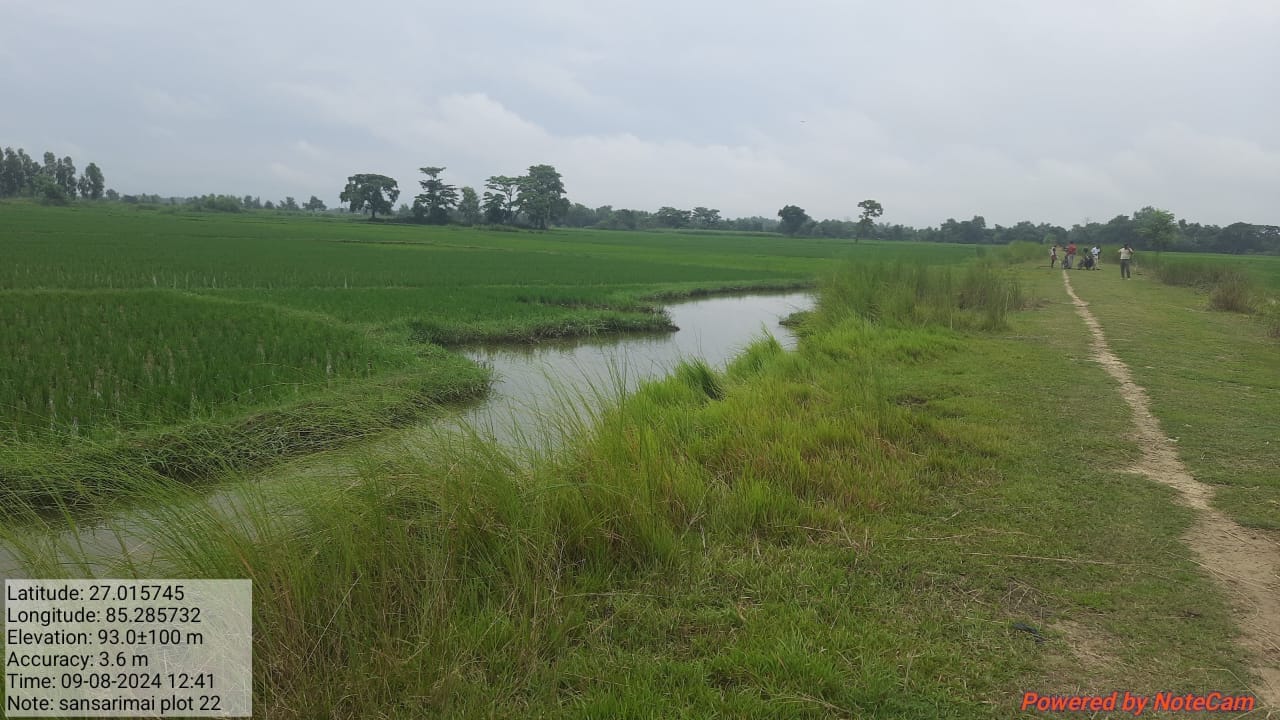 Land at GUJARA MUNICIPALITY, RAUTAHAT (PA-00000000000000006901) - Image 2