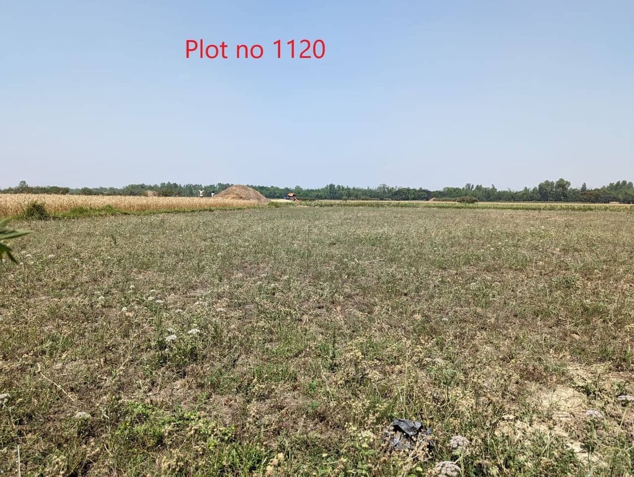 Land at KATAHARIYA MUNICIPALITY, RAUTAHAT