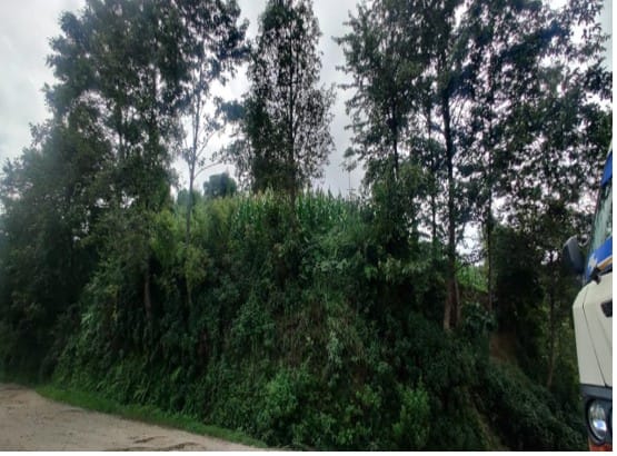Land at NAMOBUDDHA MUNICIPALITY, KAVREPALANCHOK (PA-00000000000000000653)