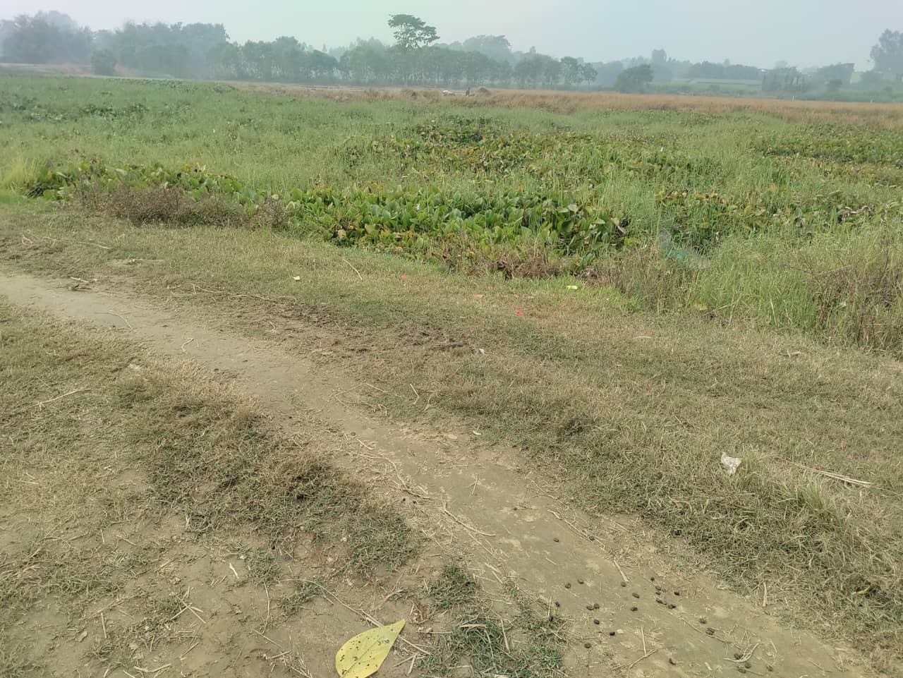 Land at MADHAV NARAYAN MUNICIPALITY, RAUTAHAT (PA-00000000000000001481) - Image 5