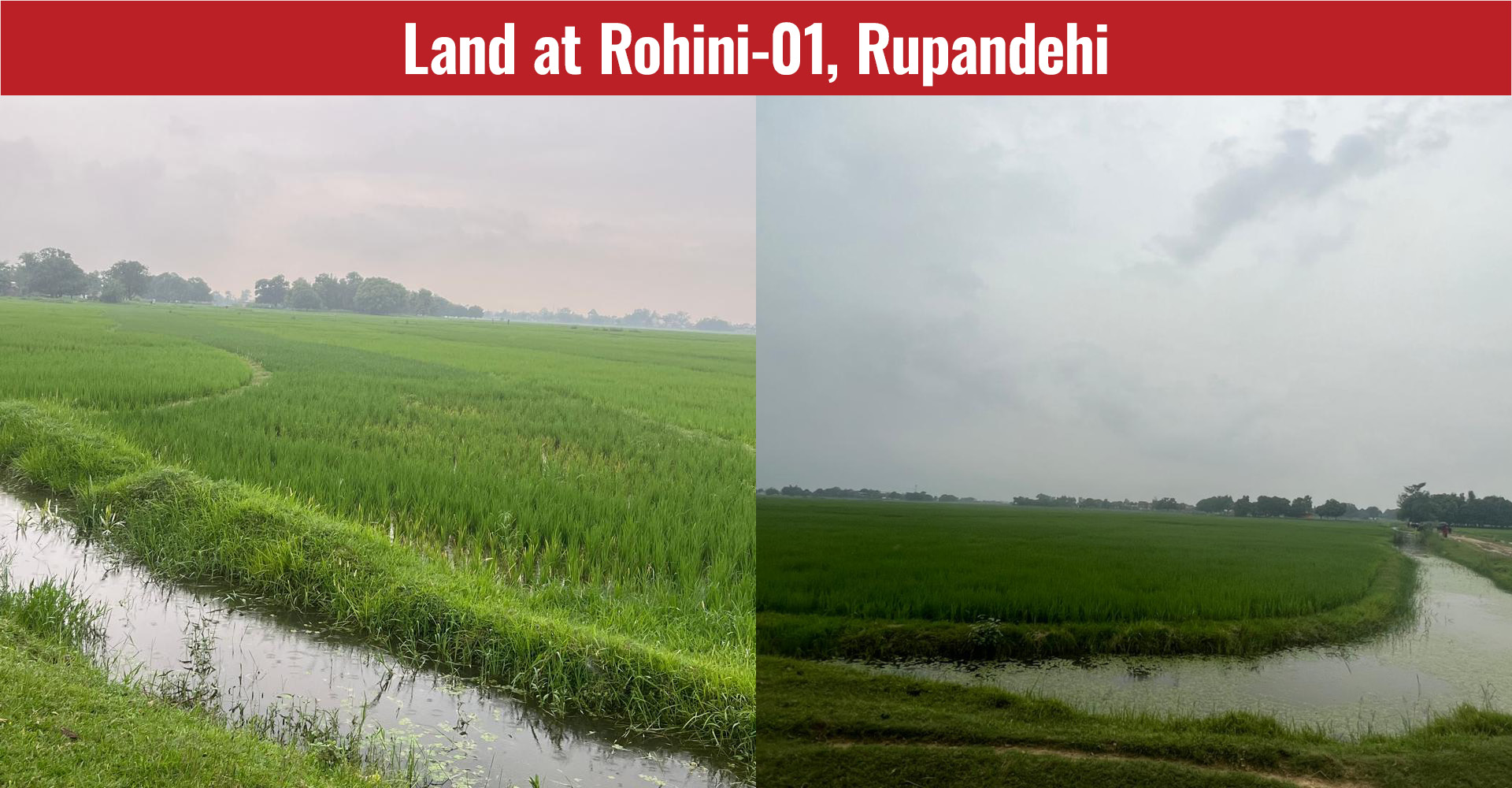 Land at Rohini-01, Rupandehi