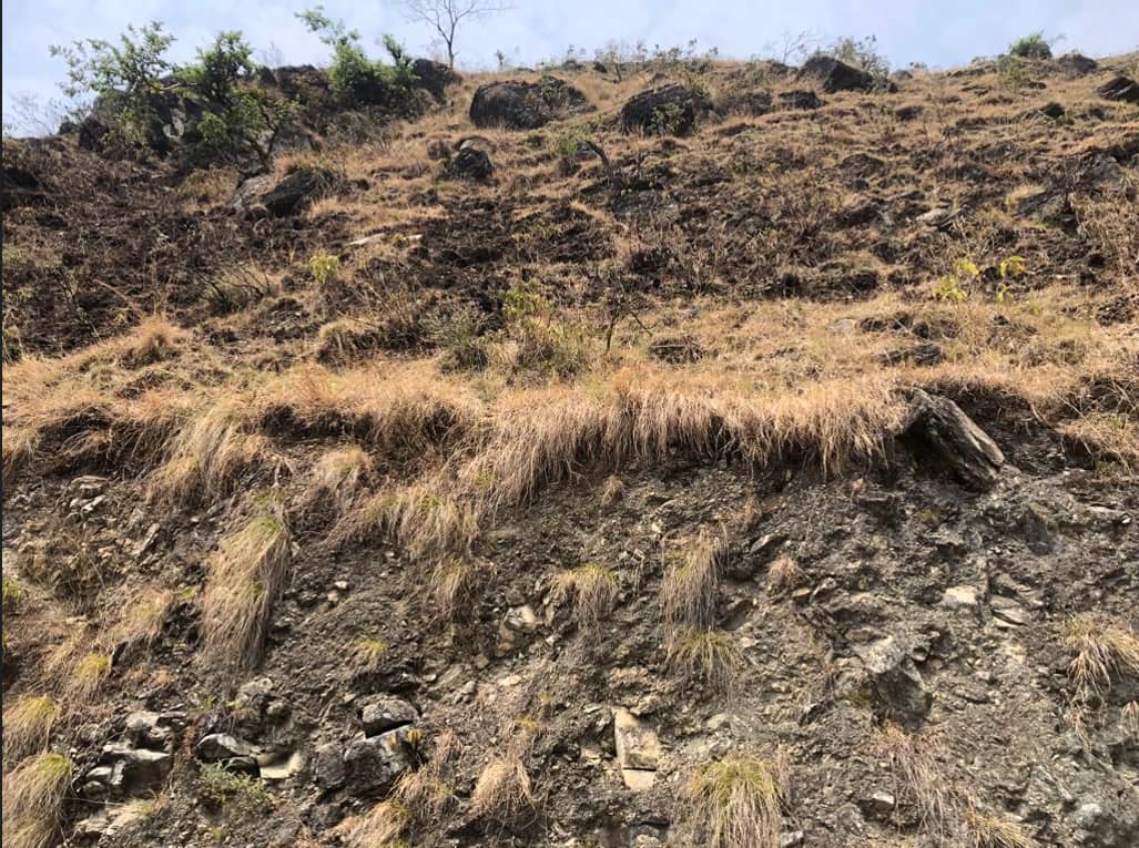 Land at KHANDACHAKRA MUNICIPALITY, KALIKOT (PA-00000000000000000407)
