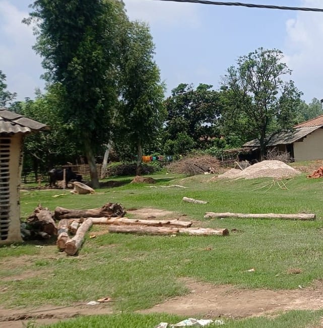 Land at SONAMA RURAL MUNICIPALITY, MAHOTARI (PA-00000000000000006825) - Image 2