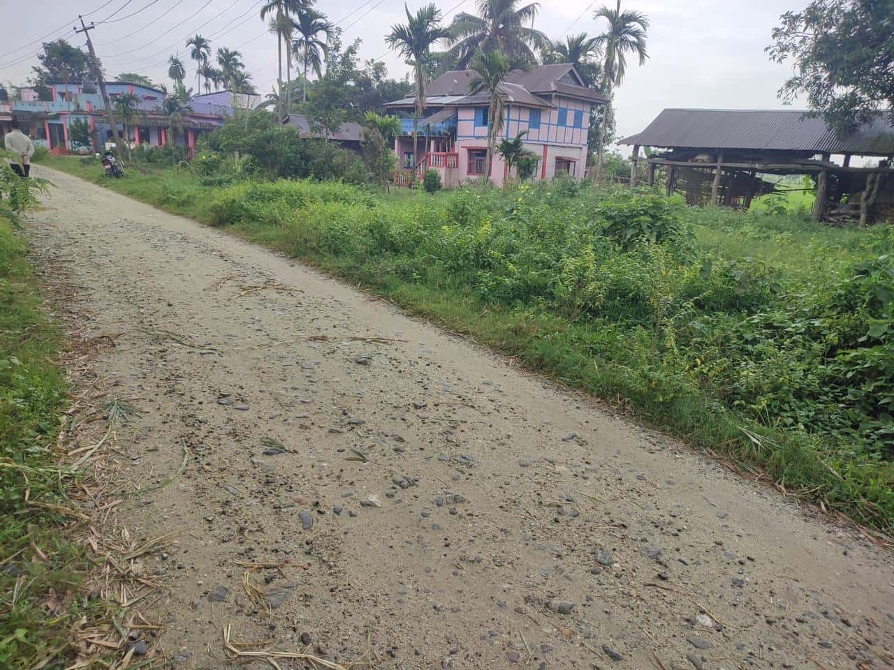 Land at HALDIBARI RURAL MUNICIPALITY, JHAPA (PA-00000000000000006452)