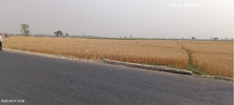 Land at GULARIYA MUNICIPALITY, BARDIYA