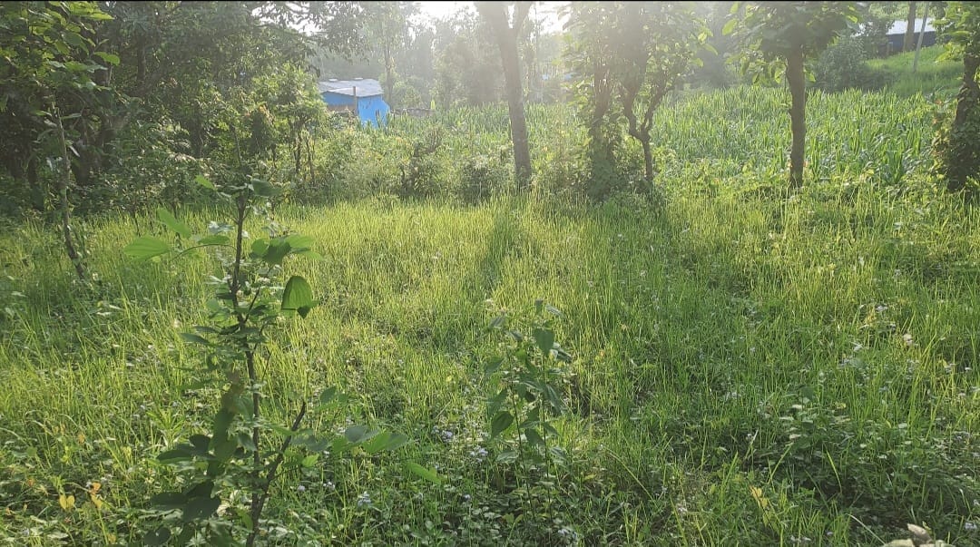 Land at HETAUDA SUB-METROPOLITIAN CITY, MAKAWANPUR (PA-00000000000000004947) - Image 1
