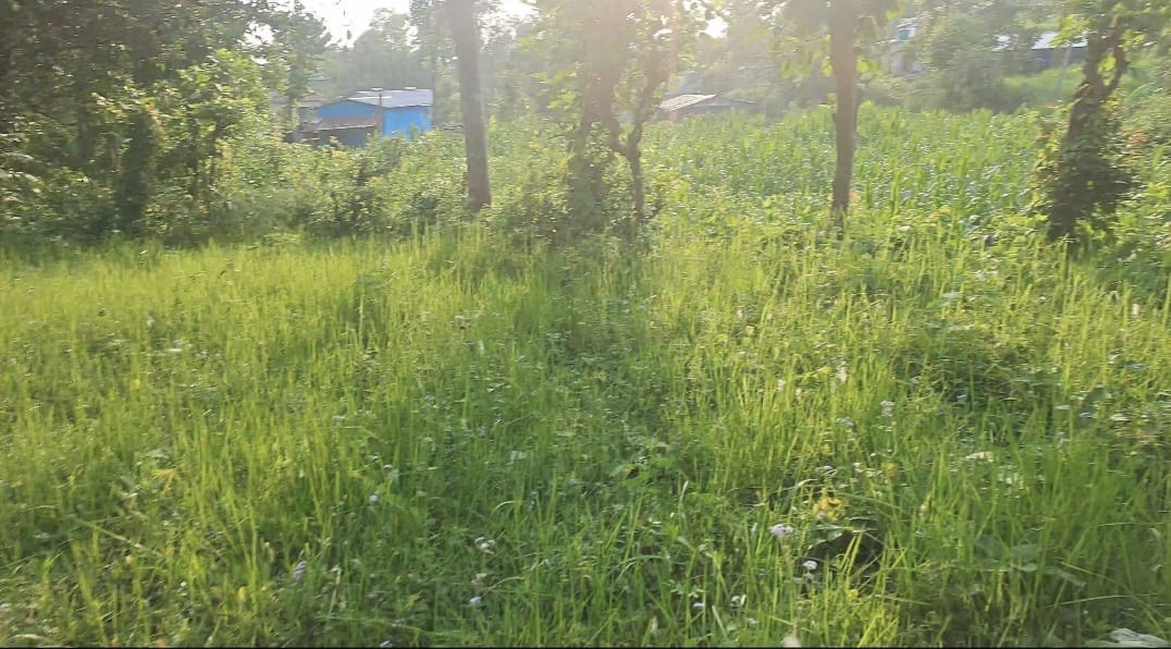 Land at HETAUDA SUB-METROPOLITIAN CITY, MAKAWANPUR (PA-00000000000000004947) - Image 4