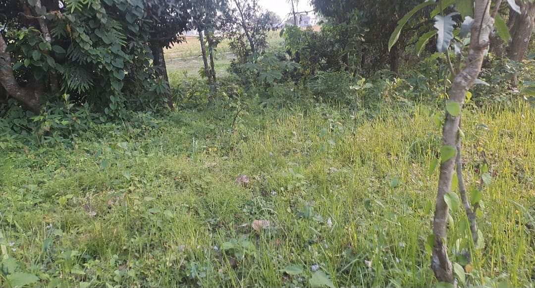 Land at HETAUDA SUB-METROPOLITIAN CITY, MAKAWANPUR (PA-00000000000000004947) - Image 5
