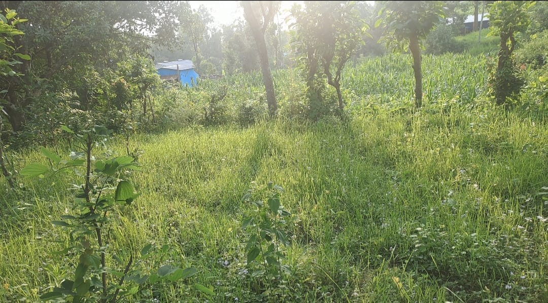 Land at HETAUDA SUB-METROPOLITIAN CITY, MAKAWANPUR (PA-00000000000000004947) - Image 2