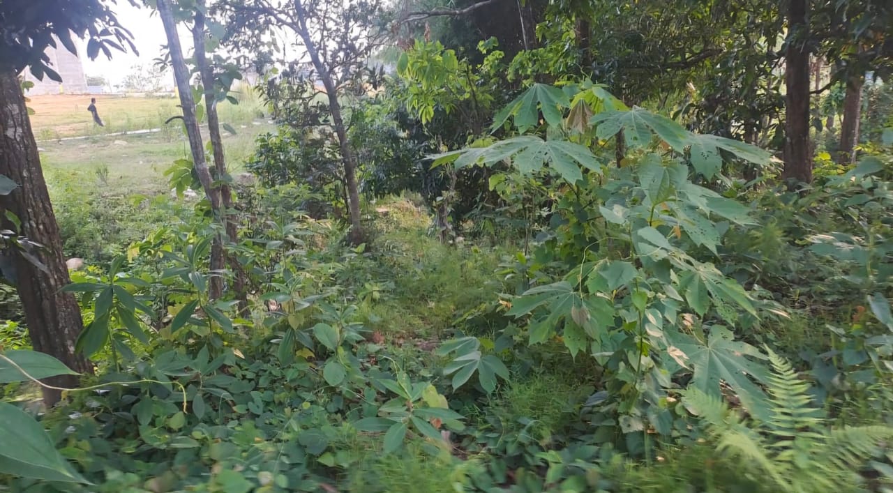 Land at HETAUDA SUB-METROPOLITIAN CITY, MAKAWANPUR (PA-00000000000000004947) - Image 6