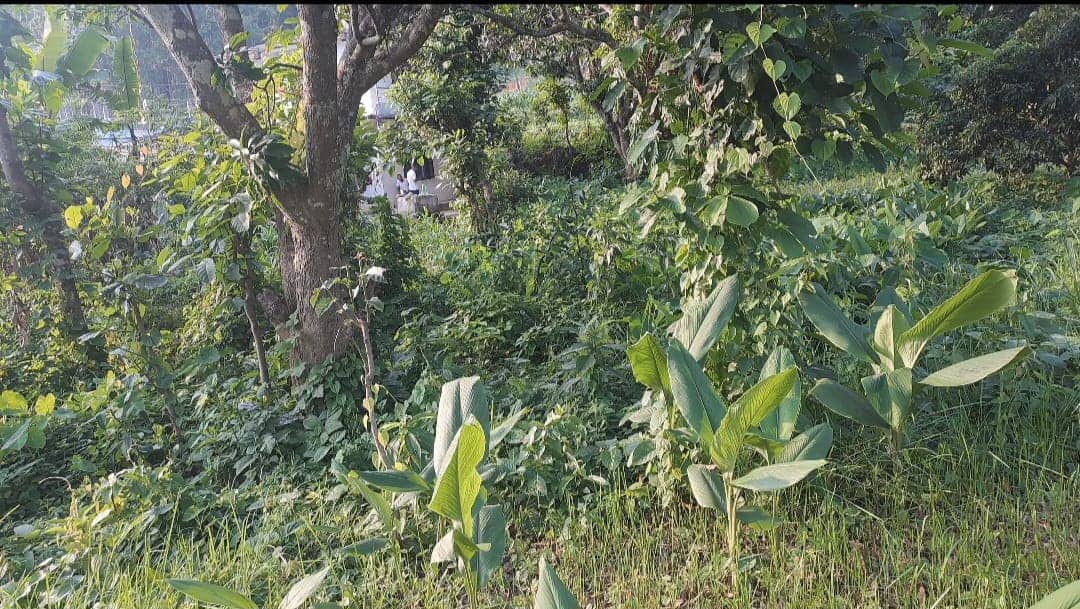 Land at HETAUDA SUB-METROPOLITIAN CITY, MAKAWANPUR (PA-00000000000000004947) - Image 3