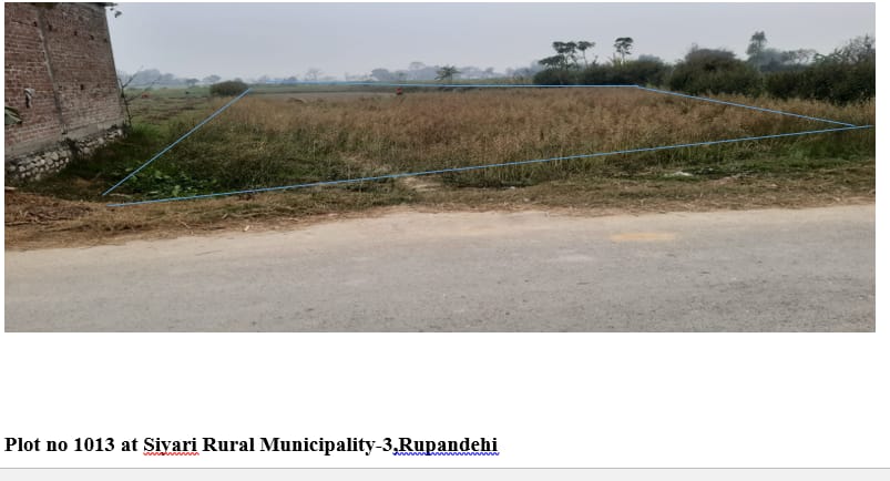 Land at DHANUSHADHAM MUNICIPALITY, DHANUSA