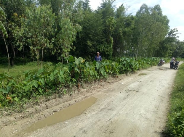 Land at BHANGAHA MUNICIPALITY, MAHOTARI (PA-00000000000000006740)