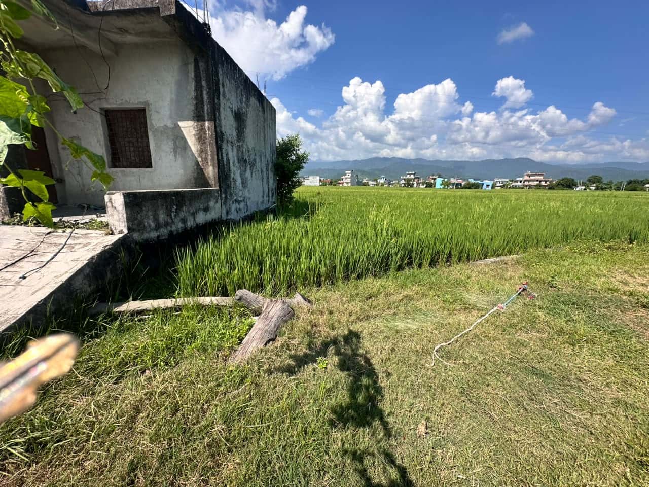 Land at SAINAMAINA MUNICIPALITY, RUPANDEHI (PA-00000000000000006845) - Image 6